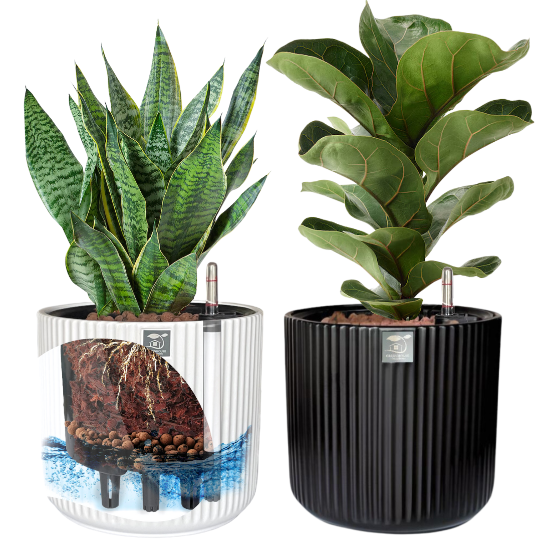 Versatile Black & White Ceramic Self-Watering Pots (2-Pack) – Modern Indoor Planters for Office & Home