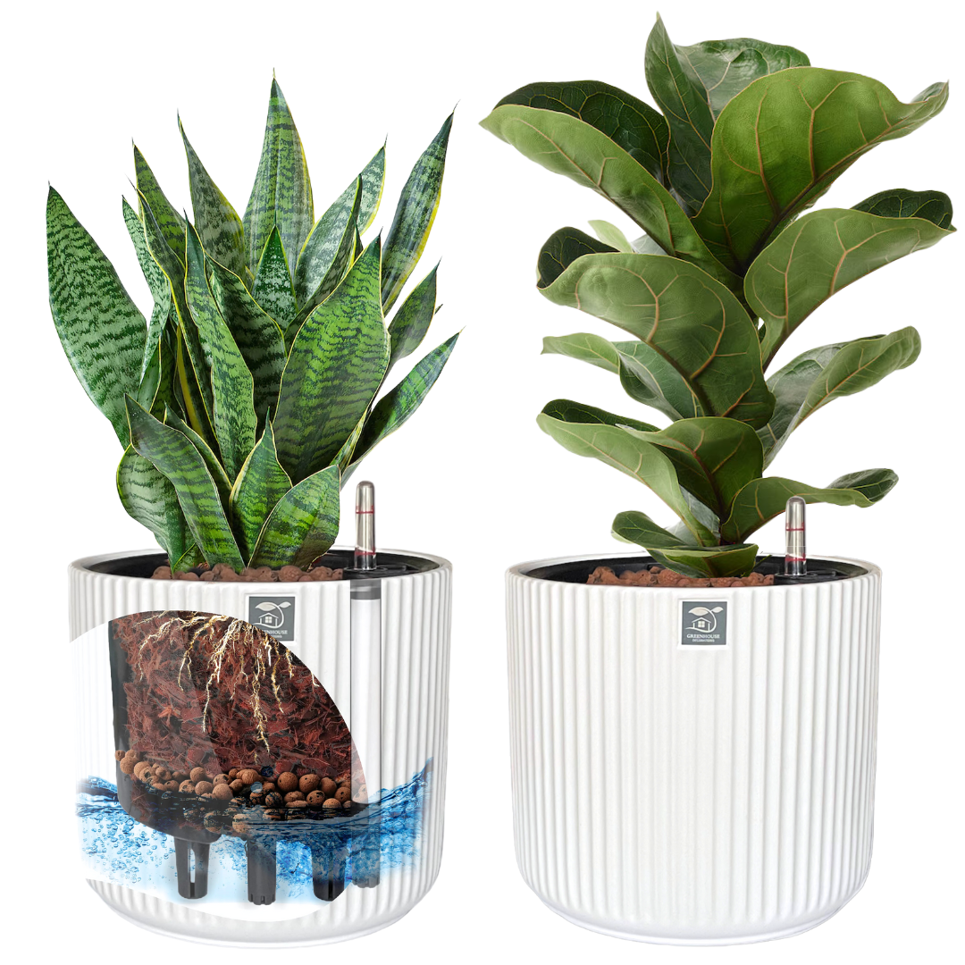 Stylish Porcelain White Self-Watering Ceramic Planter Set – Low-Maintenance & Eco-Friendly