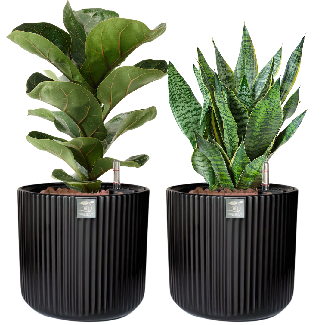 Modern Onyx Black Self-Watering Planter Set – Perfect for Indoor Succulents & Herbs